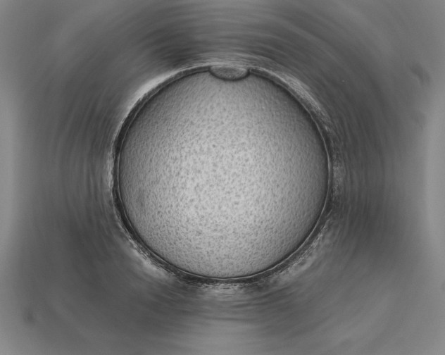 X0000115280846200911131827