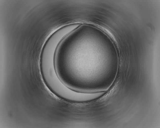 X0000115280847200911131827