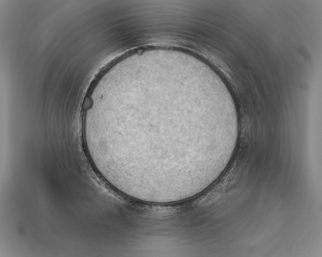 X0000115280848200911131827