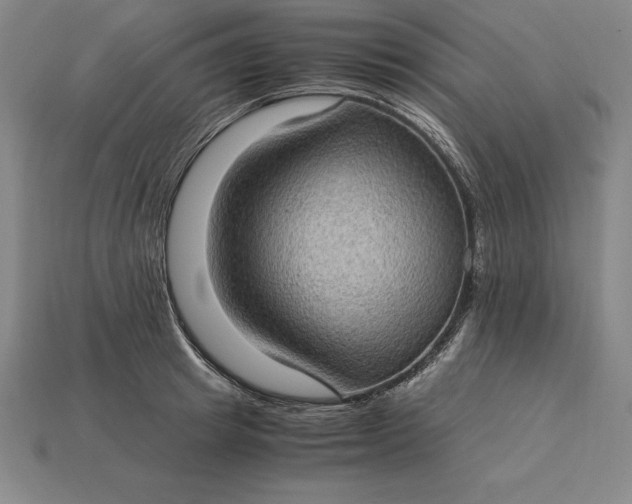 X0000115280849200911131827