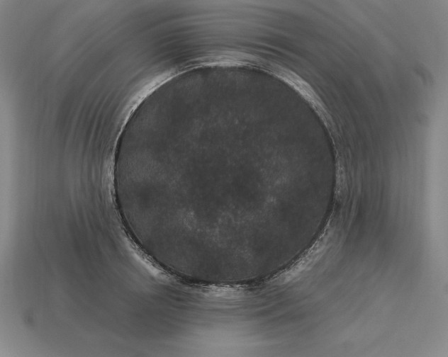 X0000115280850200911131827