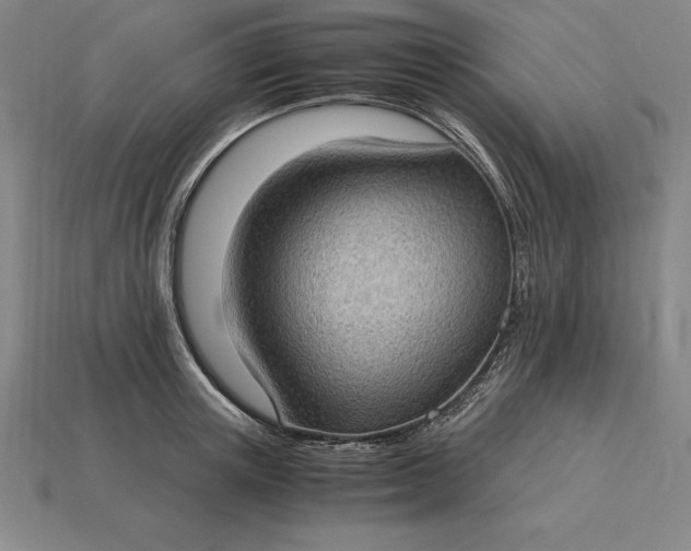 X0000115280851200911131827