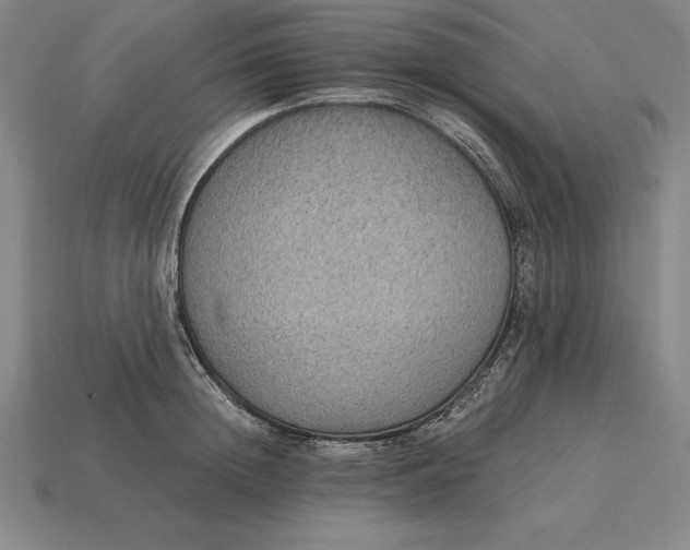 X0000115280852200911131827