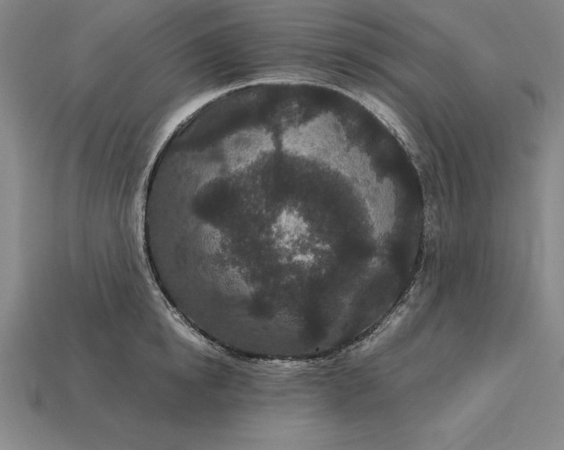 X0000115280854200911131827