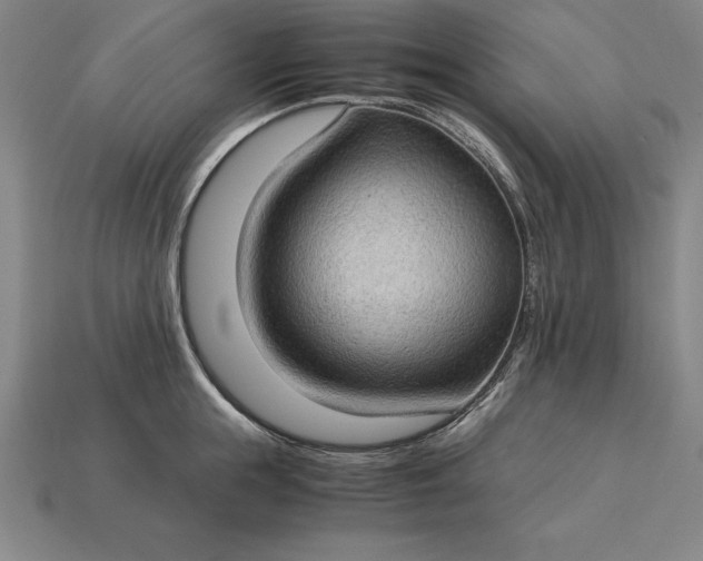 X0000115280855200911131827