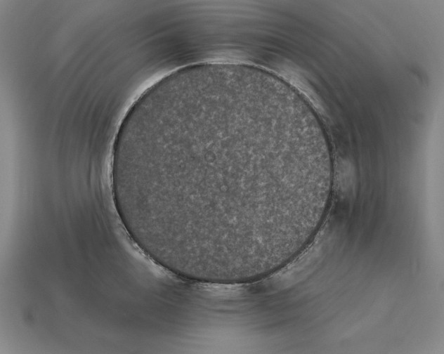 X0000115280856200911131827