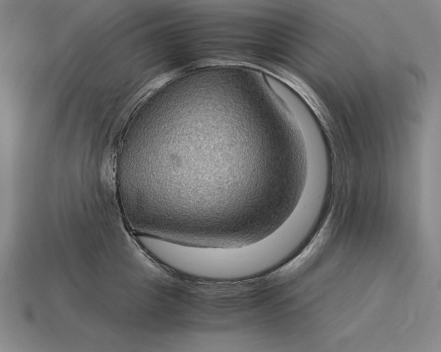 X0000115280857200911131827