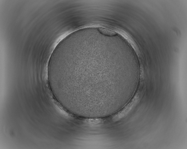 X0000115280858200911131827