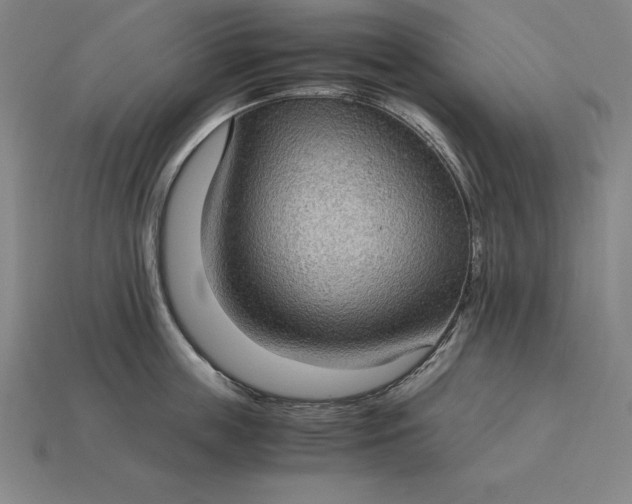 X0000115280859200911131827