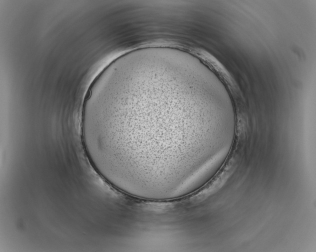 X0000115280860200911131827