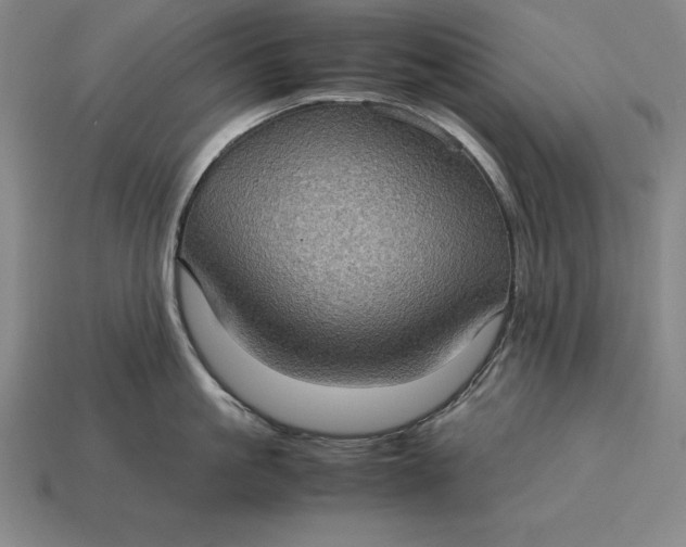 X0000115280861200911131827