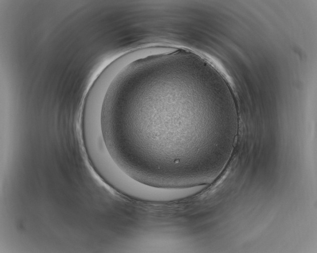 X0000115280863200911131827