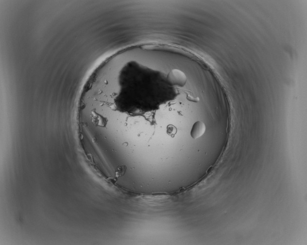 X0000115280864200911131827