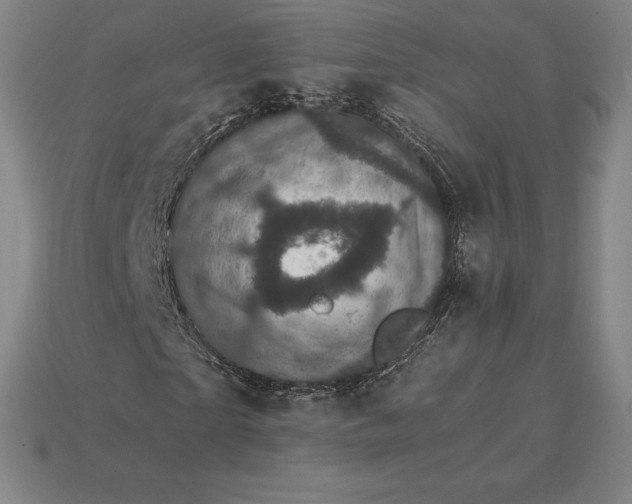 X0000115280865200911131827