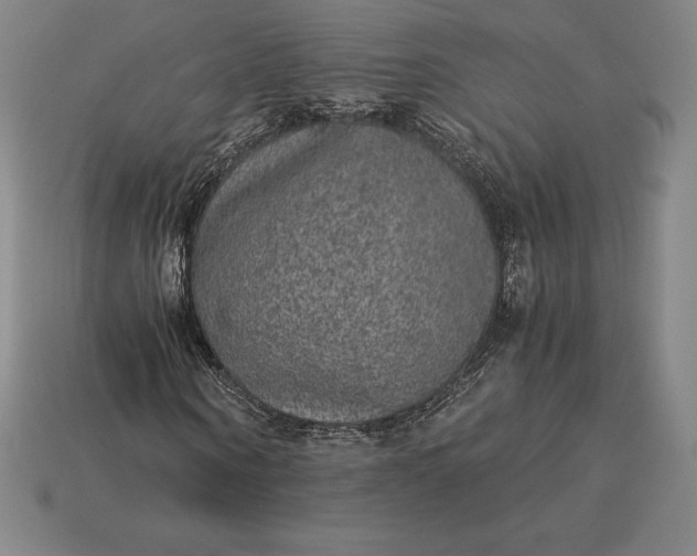 X0000115280866200911131827