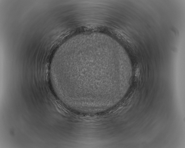 X0000115280868200911131827