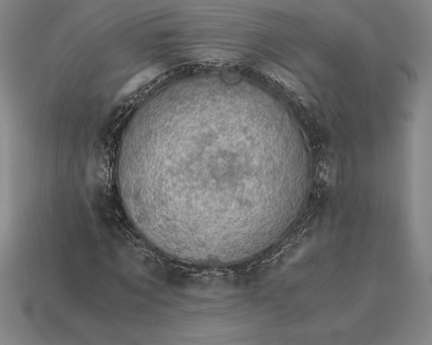 X0000115280869200911131827