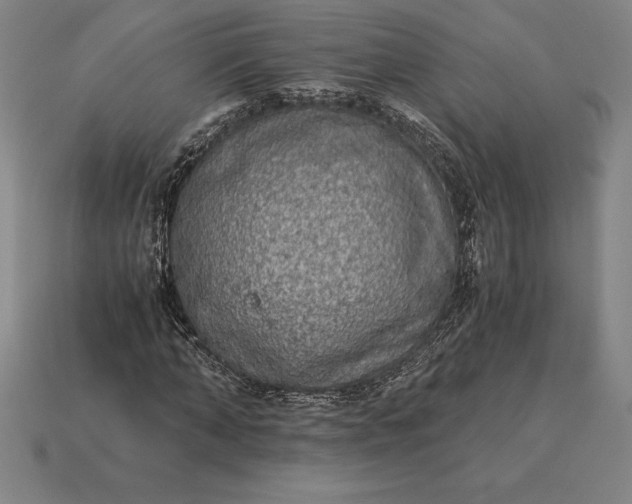 X0000115280870200911131827