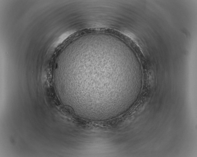 X0000115280871200911131827