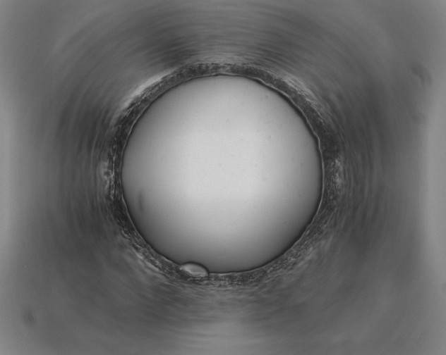 X0000115280872200911131827