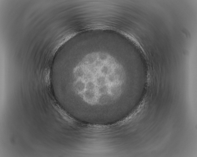 X0000115280873200911131827