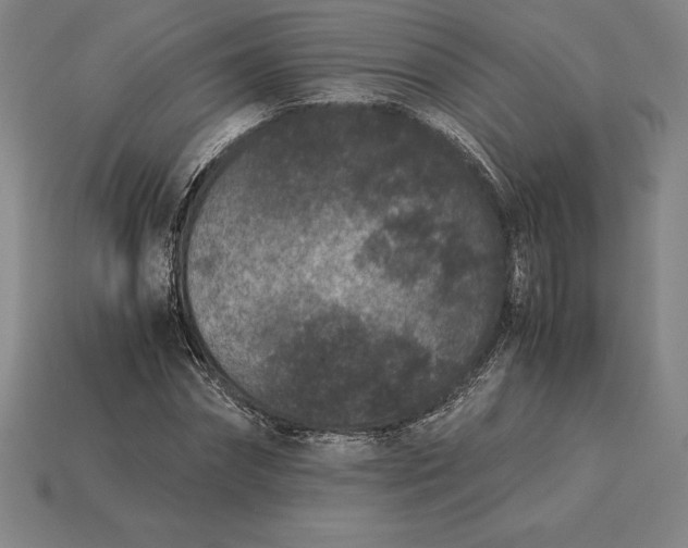 X0000115280874200911131827