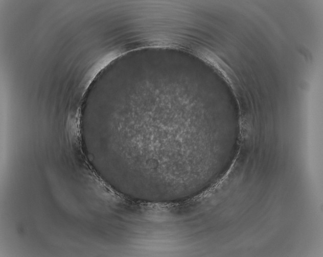 X0000115280875200911131827