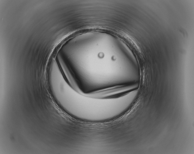 X0000115280876200911131827