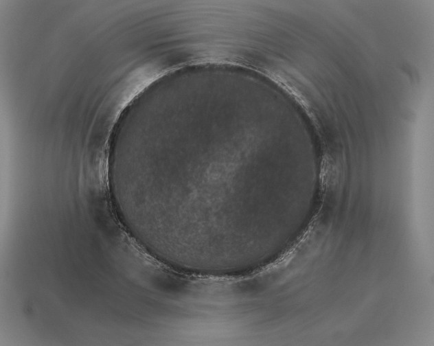 X0000115280877200911131827