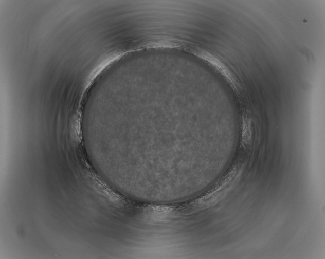 X0000115280878200911131827