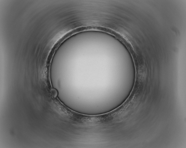 X0000115280879200911131827