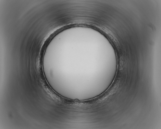 X0000115280880200911131827