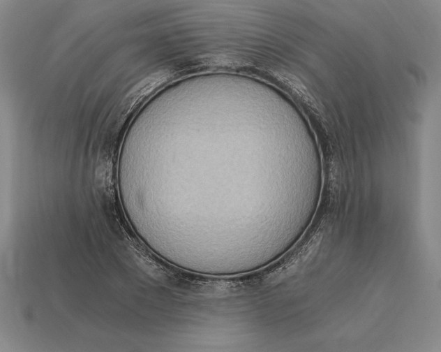 X0000115280881200911131827