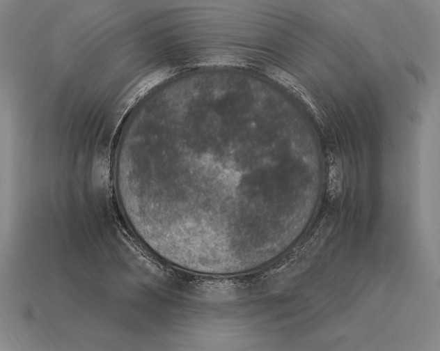 X0000115280882200911131827