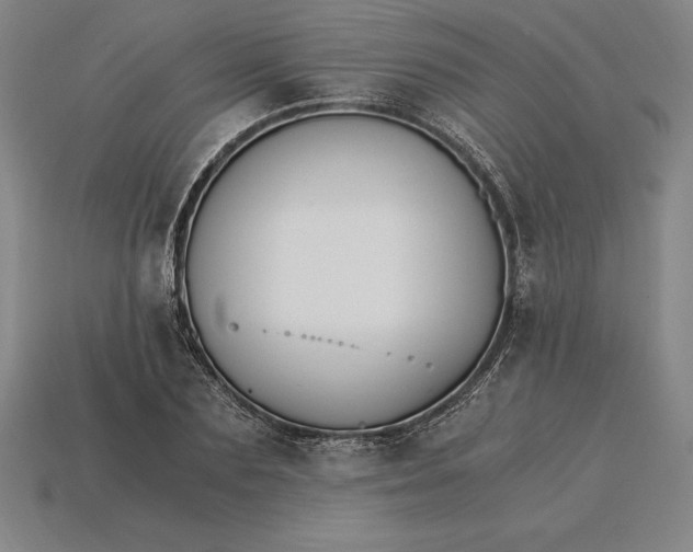 X0000115280883200911131826