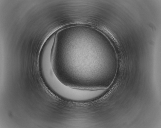 X0000115280884200911131826