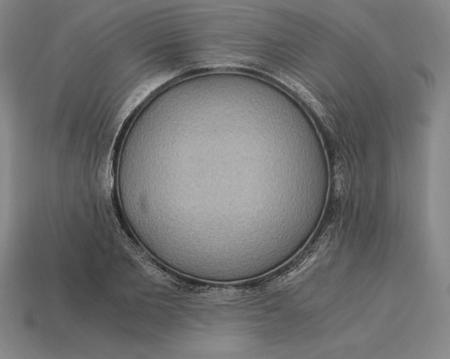 X0000115280885200911131826