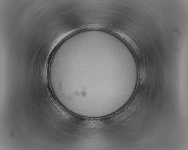 X0000115280886200911131826