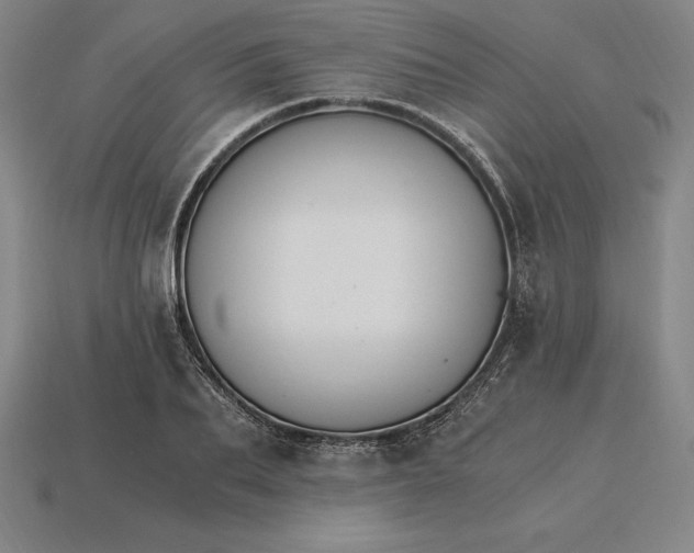 X0000115280887200911131826