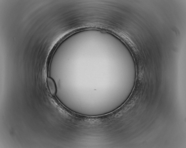 X0000115280888200911131826