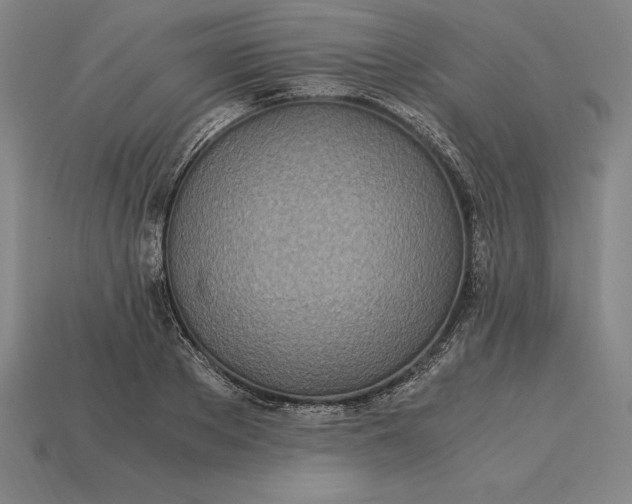 X0000115280889200911131826