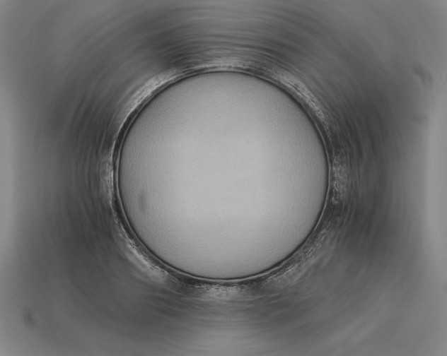 X0000115280890200911131826