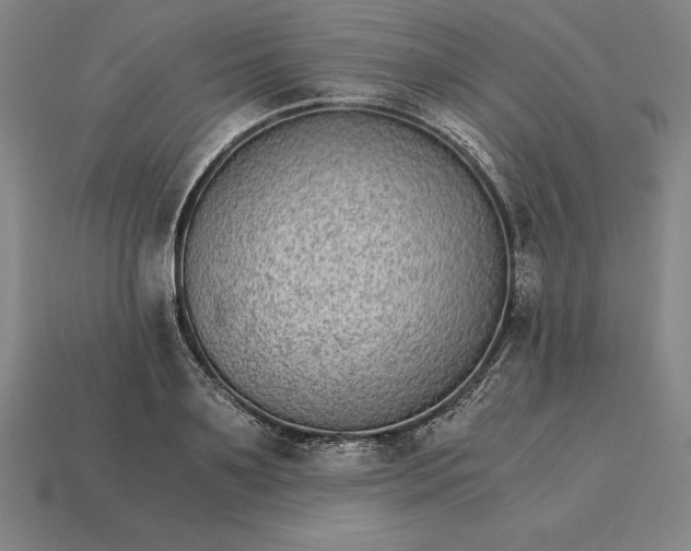 X0000115280891200911131826