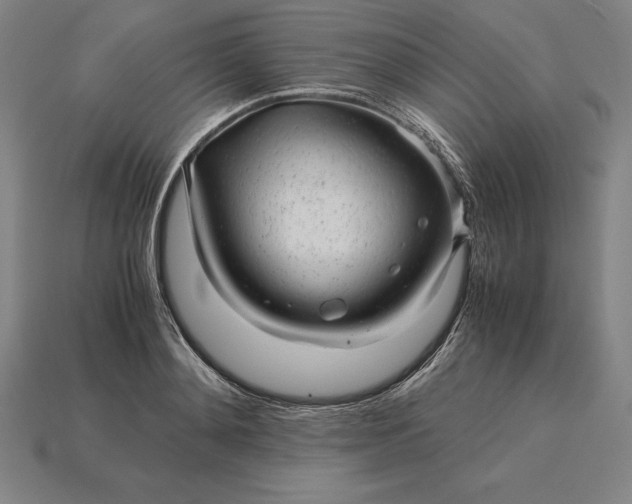 X0000115280892200911131826