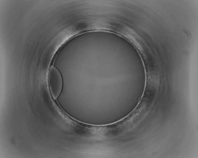 X0000115280893200911131826