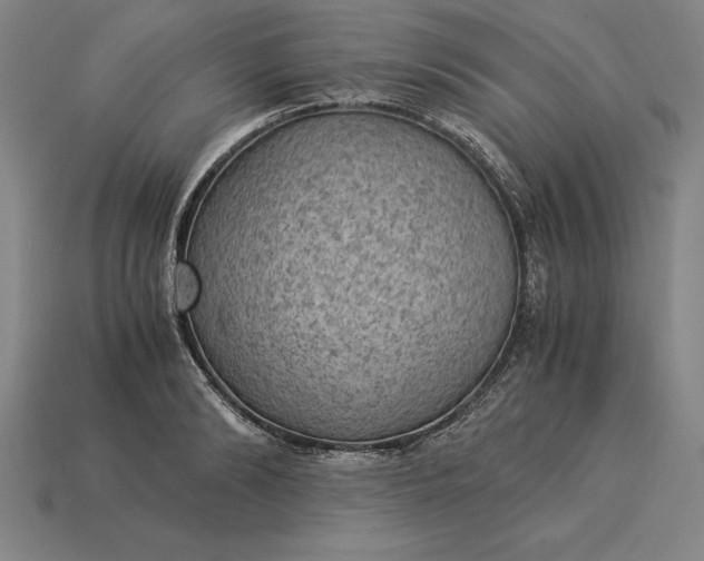 X0000115280894200911131826