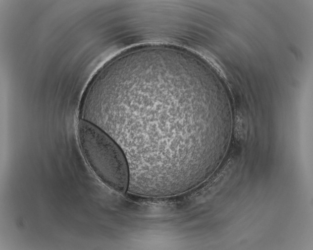 X0000115280895200911131826