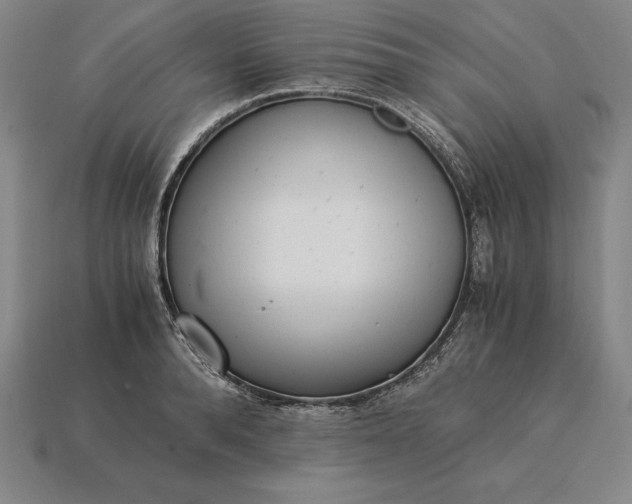 X0000115280896200911131826