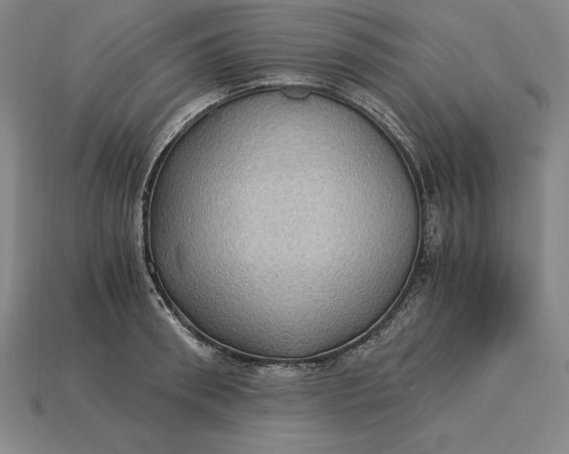 X0000115280898200911131826