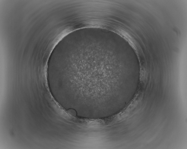 X0000115280899200911131826